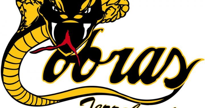 Les Cobras divisent leur série aller-retour contre Montréal-Est