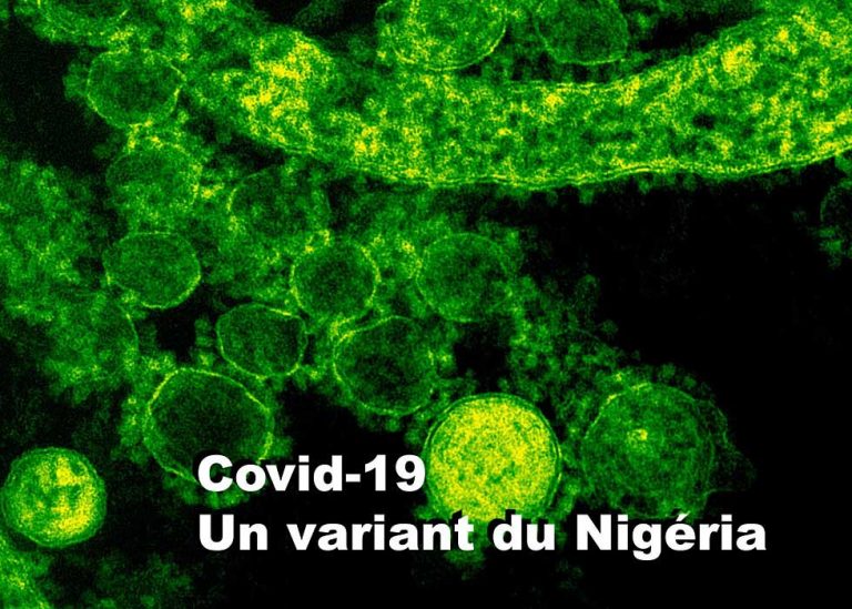 Covid Variant du Nigéria dans Lanaudière