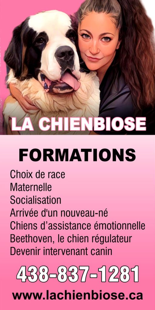 Formation La Chienbiose